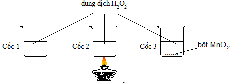 25 câu trắc nghiệm Tốc độ phản ứng và cân bằng hóa học có lời giải (cơ bản)