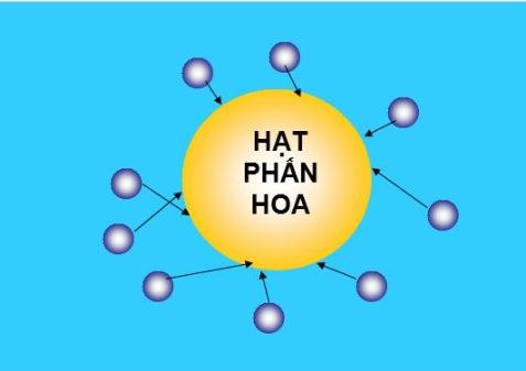 Bài 20: Nguyên tử, phân tử chuyển động hay đứng yên? (Vật lý 8 học kì 2)