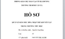 HỒ SƠ QUẢN LÍ GIÁO DỤC HÒA NHẬP TRẺ KHUYẾT TẬT TRONG TRƯỜNG TIỂU HỌC