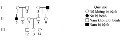 B8u_ip465X5eG1Bwg0b3sWpDvMkncDAiRb_hRDBd1kreENel1qBMe3A2b1EbMeURMxRNqCh-B0dNHLtFVbjZ0z1J08HORY_OMgHvRpazVTCHTOuPyx-vqJzSixFcPd3rTHXyxt3TpQ4L5SuY_HKb6w